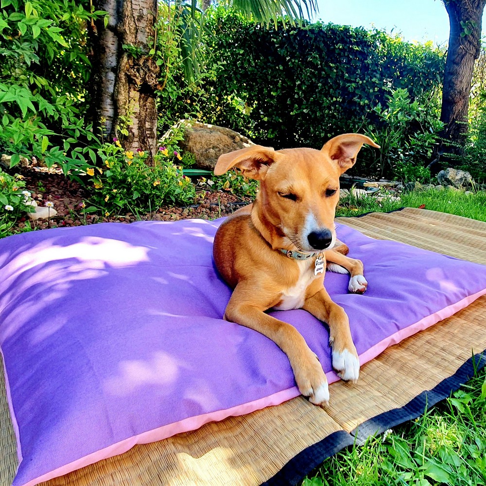 Materassino Futon in cotone + Cover colorata