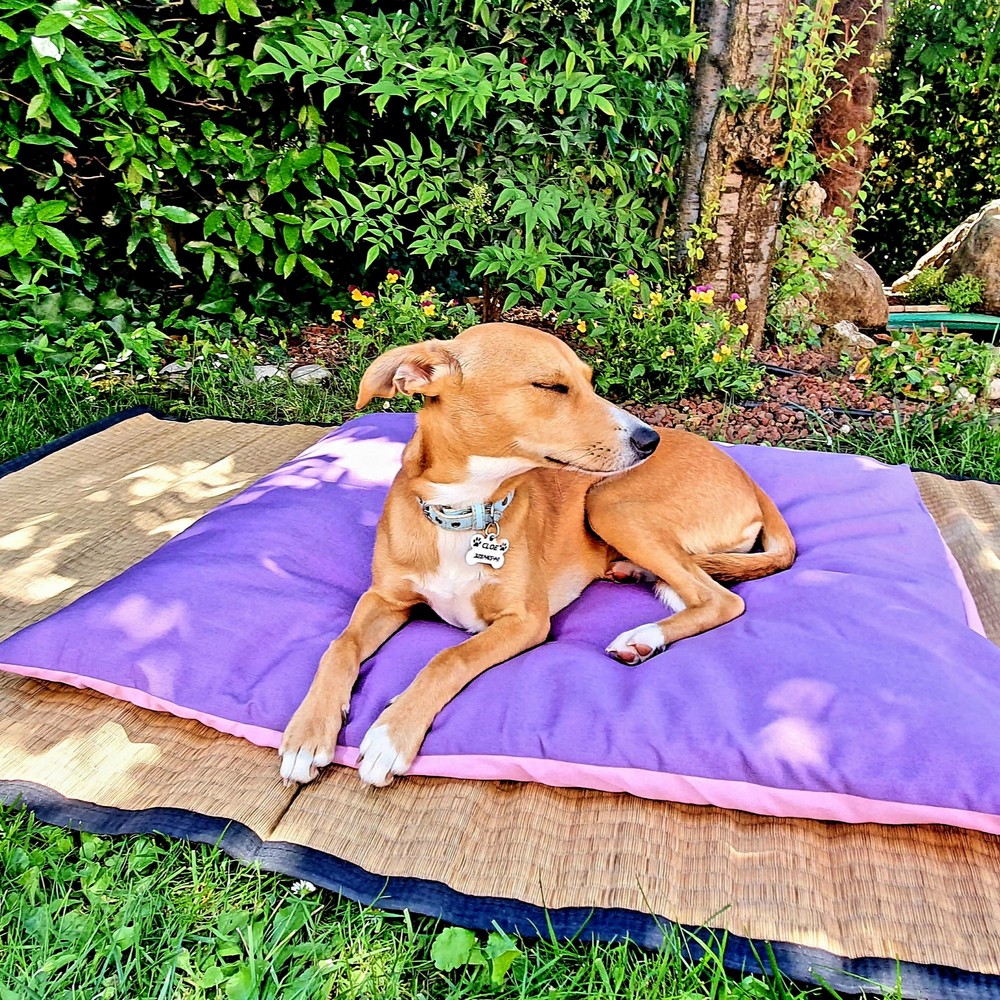 Materassino Futon in cotone + Cover colorata