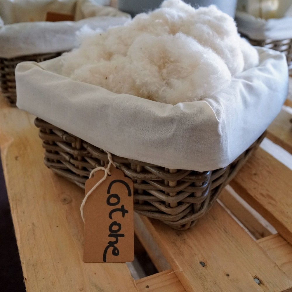 Cuscino Bio in Cotone